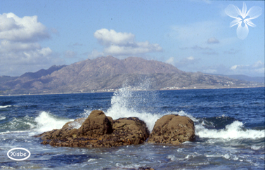 M. Pindo 2 c.jpg